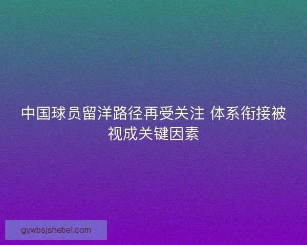 中国球员留洋路径再受关注 体系衔接被视成关键因素