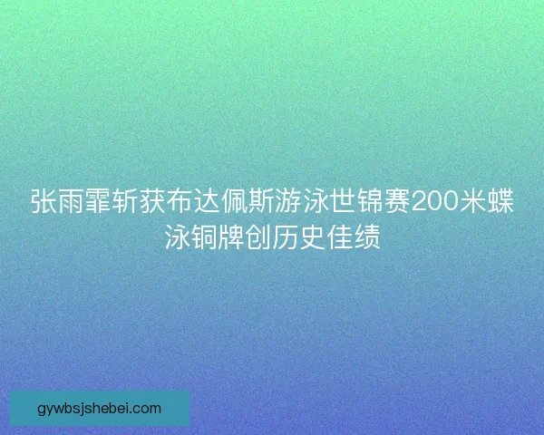 张雨霏斩获布达佩斯游泳世锦赛200米蝶泳铜牌创历史佳绩