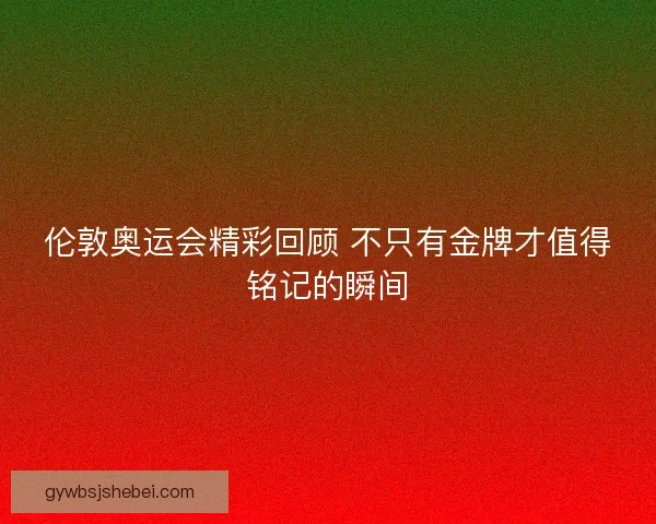 伦敦奥运会精彩回顾 不只有金牌才值得铭记的瞬间