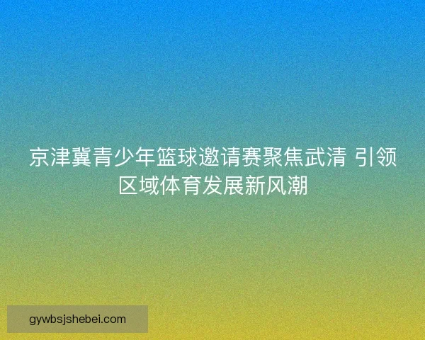 京津冀青少年篮球邀请赛聚焦武清 引领区域体育发展新风潮